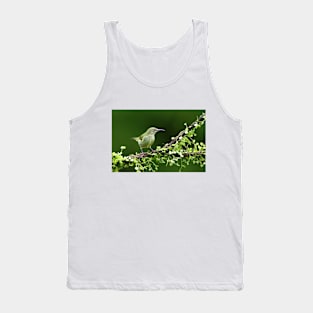 Red-legged Honeycreeper - Costa Rica Tank Top